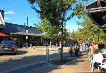Kirkland City Council Pauses Idea of Pedestrianizing Downtown’s Park Lane Park Lane is a quiet street with bollards and street trees.