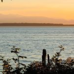 11955417804_805e5d7650_b