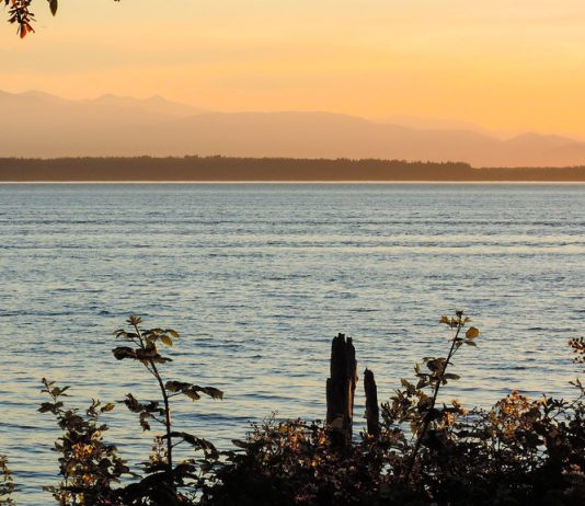 Congress Approves Record $54 Million for Puget Sound Recovery