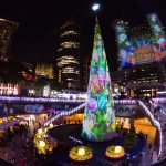 48495306286_2d76dc0830_b