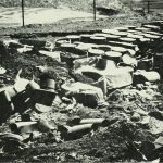 California Toxics Dump