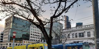 Two streetcars pass on Jackson Street with the downtown skyline in the background.