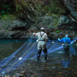 Screen-Shot-2022-12-23-at-4.16.26-PM