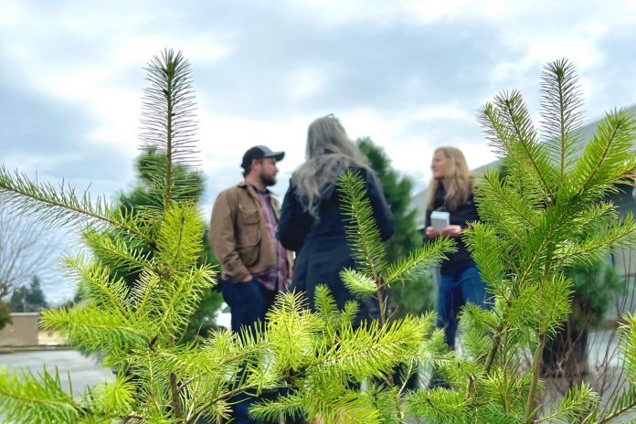A small pine tree in the foreground with three people talking in the background.
