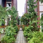 missing middle housing townhouses