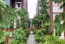 Bellevue Initiates Middle Housing Planning, but State May Beat Them to It a path between two townhouses with evergreen trees