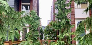 a path between two townhouses with evergreen trees