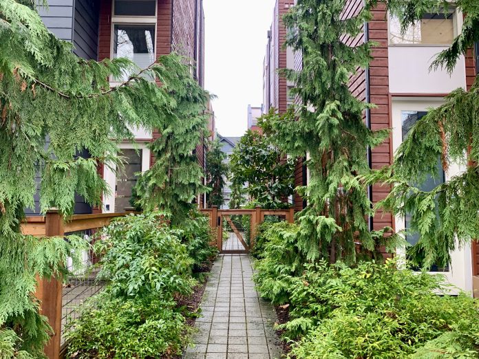 a path between two townhouses with evergreen trees