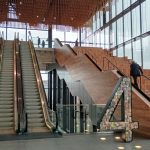 IMG_20230125_110950409_HDR