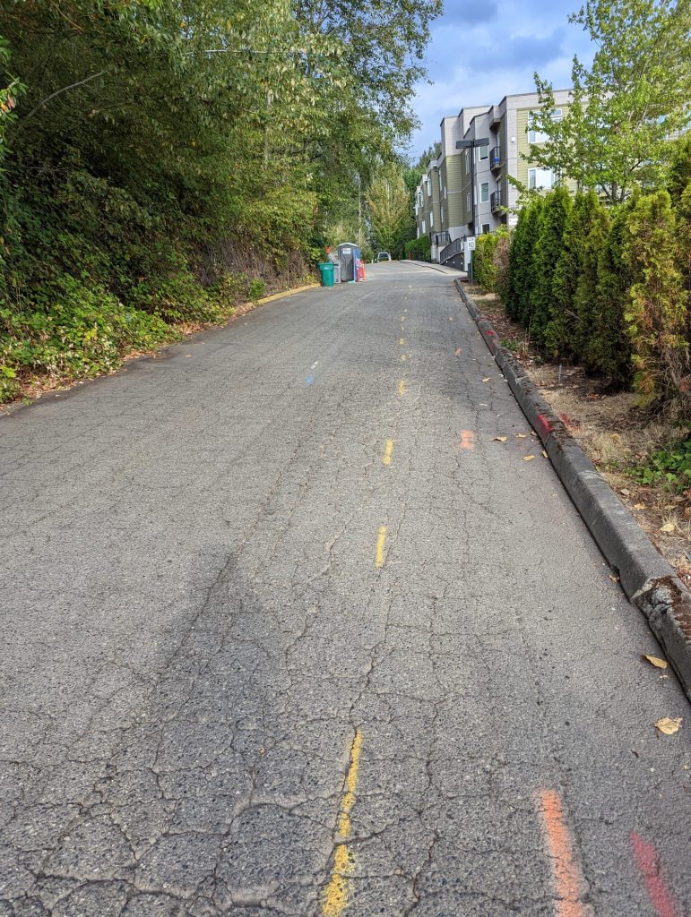 A street missing sidewalk in totem lake