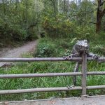 PXL_20220914_012008607