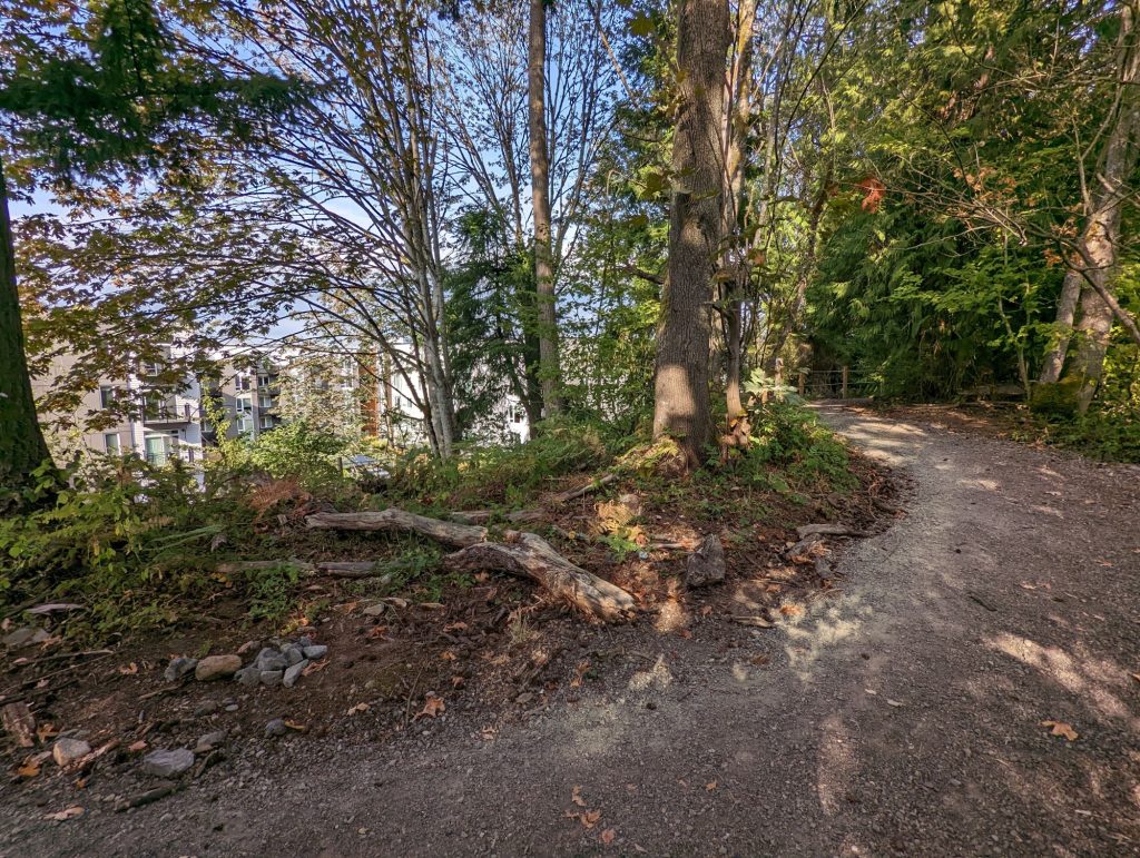 A semi private trail in Totem Lake