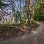 PXL_20220915_233805730