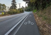 Navigating Kirkland’s Pedestrian Nightmare — And Paradise NE Juanita Dr and its unprotected pedestrian path