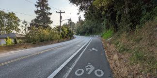 NE Juanita Dr and its unprotected pedestrian path