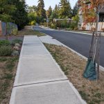 PXL_20220916_011432329