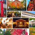 Screen-Shot-2023-01-01-at-12.18.16-PM