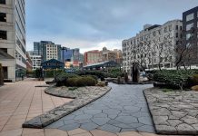 Balducci Wants a Good Transit Option for Chinatown