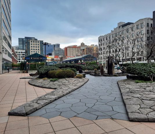 Balducci Wants a Good Transit Option for Chinatown