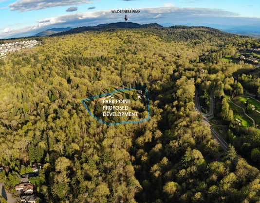 Protesters to Rally Against Enclave Development at Coal Creek An aerial view of forested land with a circle indicating the 12 acres planned for single-family home development.