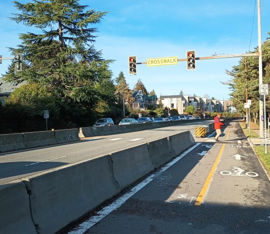 Pedestrians Were Erased From Green Lake Outer Loop Planning