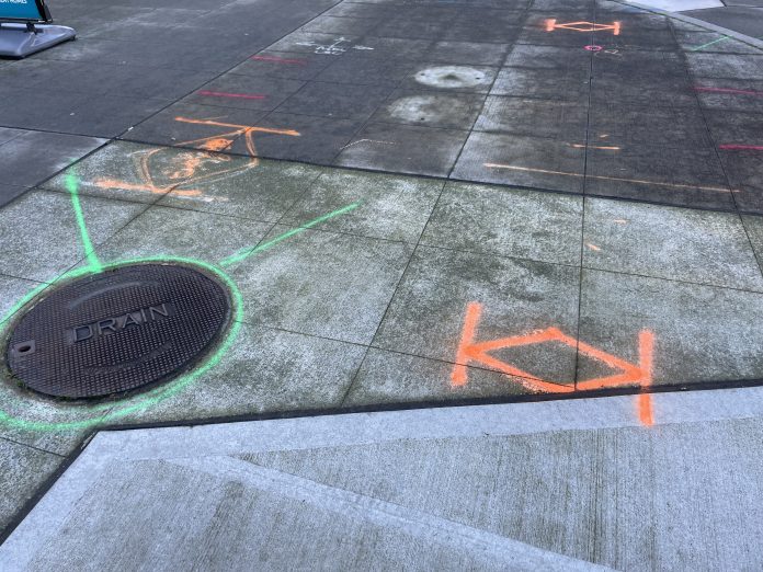 Sidewalk Utility Markings