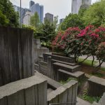 52131202572_dda425fb9d_k