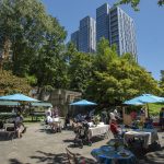 Ellis Freeway Park Umbrellas