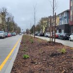 52739122363_8ca8d10dcd_h