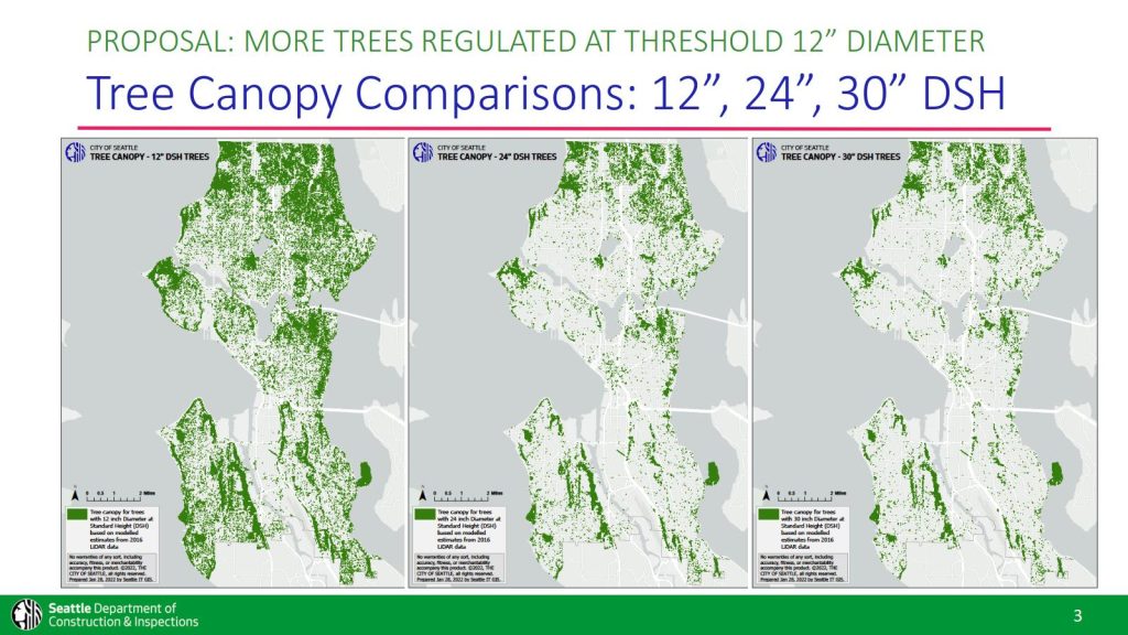 A graphic showing tree canopy comparisons on three maps, 12", 24", 30" diameters.