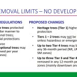 tree-removal-NO-DEVELOPMENT