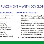 tree-removal-WITH-DEVELOPMENT