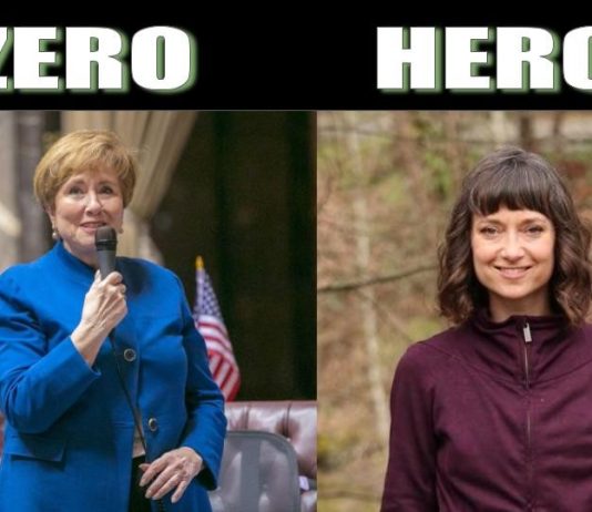 Heroes and Zeroes of the 2023 Washington State Legislature