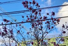 State Lawmakers Must Pass Middle Housing Bill and Strip Poison Pill from TOD Bill