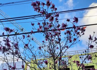 State Lawmakers Must Pass Middle Housing Bill and Strip Poison Pill from TOD Bill