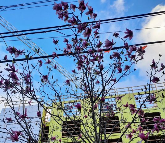 State Lawmakers Must Pass Middle Housing Bill and Strip Poison Pill from TOD Bill