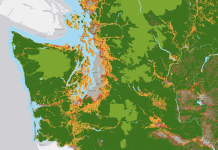 South Puget Sound Cities Now at High Risk for Wildfire