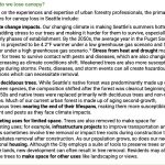 How Did We Lose Canopy