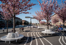 Copenhagen’s Superkilen: A Model for Culturally Diverse Public Spaces Circular white benches surround cherry trees in bloom