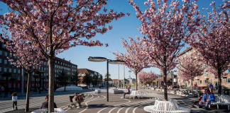 Circular white benches surround cherry trees in bloom
