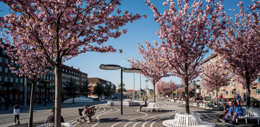 Circular white benches surround cherry trees in bloom
