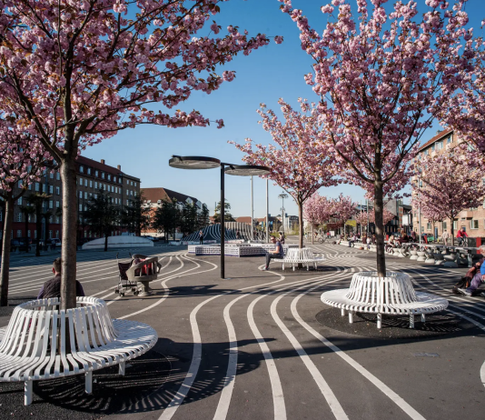 Copenhagen’s Superkilen: A Model for Culturally Diverse Public Spaces Circular white benches surround cherry trees in bloom