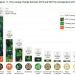 Tree-canopy-changes-in-2021-Seattle-assessment