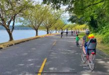 Op-Ed: Latest Hit-and-Run Shows Harrell’s Failure on Lake Washington Boulevard Safety