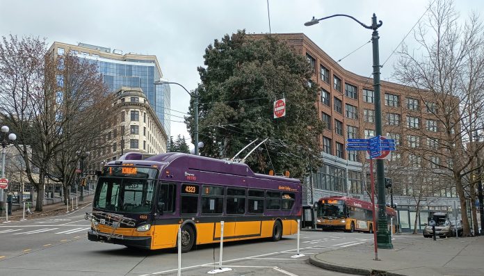 IMG_20230208_115357942 Two buses queue on Prefontaine Place in downtown Seattle
