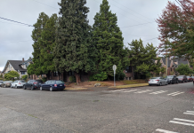 Seattle City Council District 4: Flirting with Disaster, Hoping for Deliverance Trees, Wallingford, 1920s townhomes