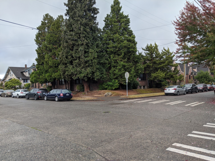 Trees, Wallingford, 1920s townhomes