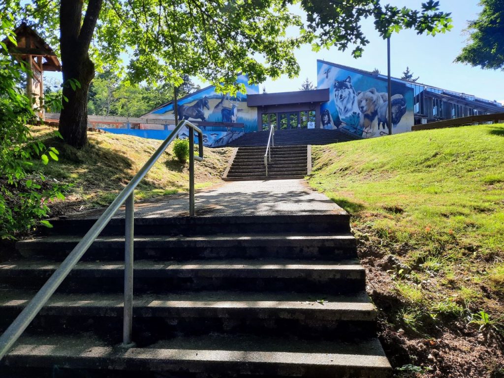 A mural with many Northwest animals adorns the Daybreak Star Indian Cultural Center