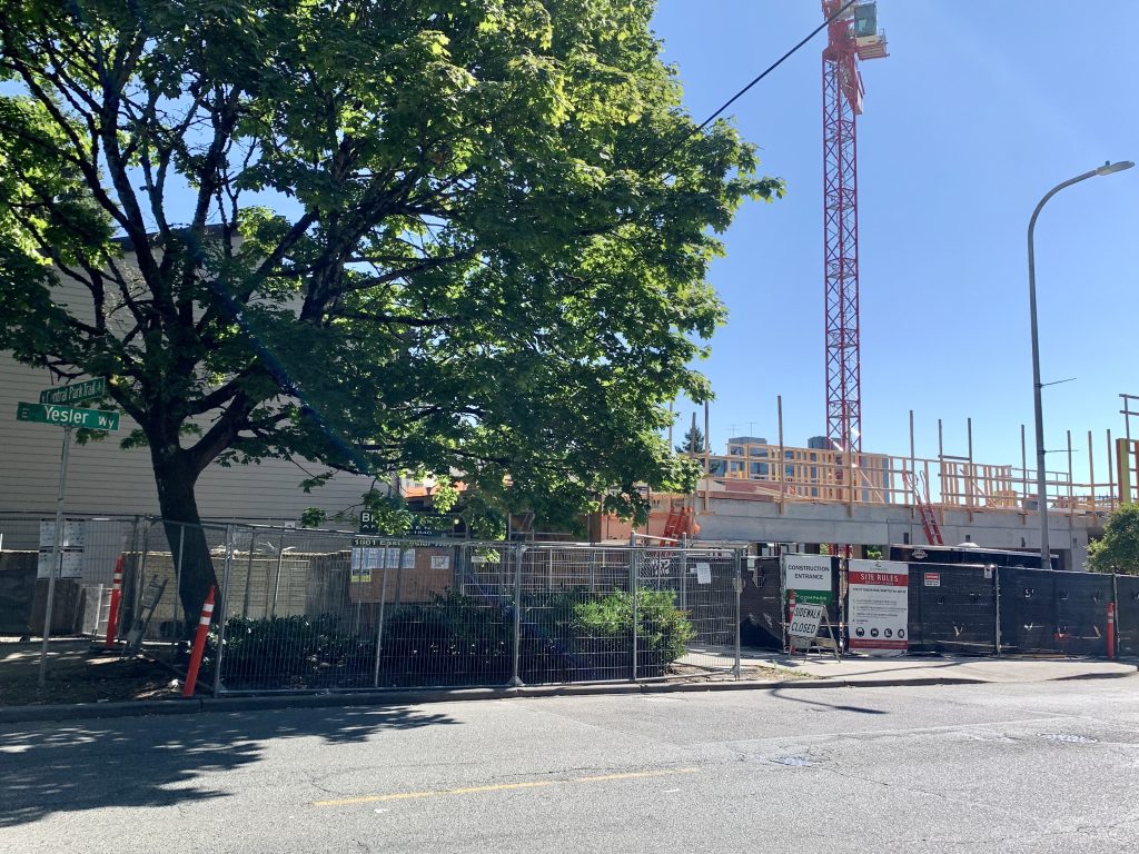 A tree next to a development with a crane.