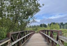 Join Us Saturday for Our Mercer Slough Walking Tour with Trust for Public Land